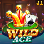 Wild Ace Playtime APK slot